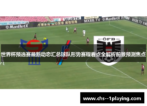 世界杯预选赛最新动态汇总球队形势赛程看点全解析前景预测焦点