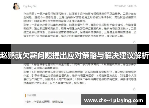 赵鹏就欠薪问题提出应对策略与解决建议解析