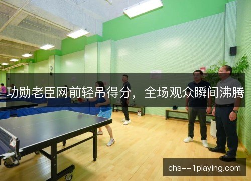 功勋老臣网前轻吊得分，全场观众瞬间沸腾